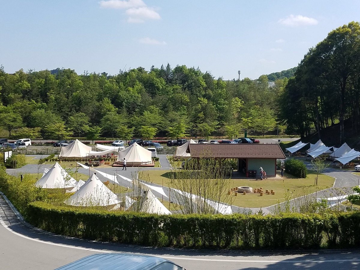 🏞️ 꽃 서는 자연공원(하나다테시젠코엔) 이미지 1